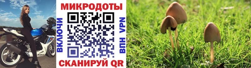 Псилоцибиновые грибы Magic Shrooms  Тольятти 
